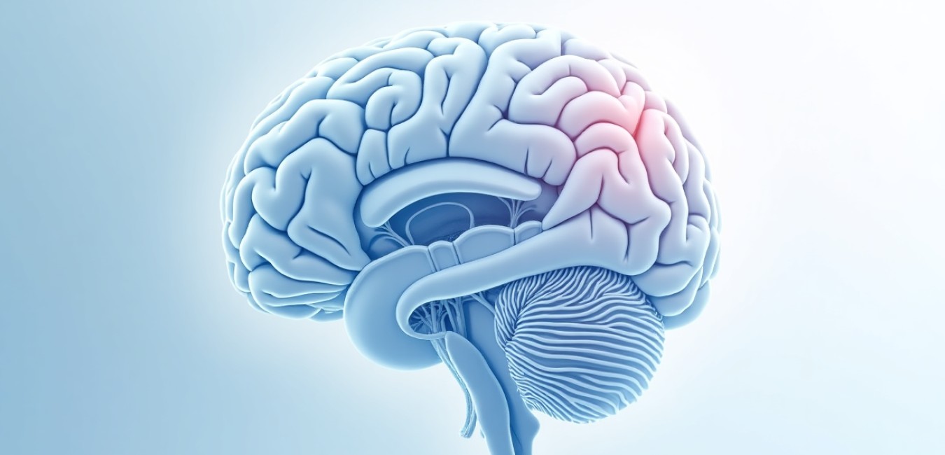 Nowa terapia kombinowana w leczeniu nawrotowego glioblastoma – wyniki badania LEAP-005